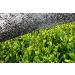 Buy Organic Matcha Powder 200g - 100% Natural Premium Japanese Green Tea | No Additives - bioKontor - Buy Online on GoSupps.com