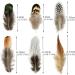 180pcs Natural Feathers Assorted for Dream Catcher Crafts - 6 Styles/180 Pcs - Buy Online on GoSupps.com