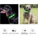 Masbrill LED Dog Collar - Luminous Waterproof Safety Collar with 3 Flashing Lights for Small Medium & Large Dogs (Adjustable 28-40cm/11-15.7in) - Green - Buy Online on GoSupps.com