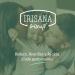 Irisana Menstrual Cup Pack of 2 - Size L - Pink & Transparent - Surgical Silicone - Compatible with IUP - Iriscup Model - International Shipping Available - Buy Online on GoSupps.com