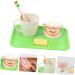 Minkissy Educational Tooth Model Set for Kids | Early Dental Hygiene Teaching Toy | Reusable ABS Prosthesis & Dentures Model - Buy Online on GoSupps.com