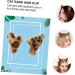 Didiseaon 3 Pairs Cat Ears Hairpin Hair Barrette Halloween Cosplay Clips Stuffed Animal Fox Cartoon Cat Ear Fox Ear Hair Clips Cat Ears Headwear Cat Role Play Barrettes Cat Headpiece Flannel - Buy Online on GoSupps.com