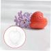 Gogogmee 5pcs Fruit Shaping Mold Plastic Fruit Cucumber Shaping Tool Vegetable Shaping Tool Garden Tools - Buy Online on GoSupps.com