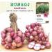Premium Thai Onion Shallot Seeds - High-Quality Seeds for Home Gardening - Buy Online on GoSupps.com
