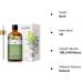 Basil Essential Oil 100ML - Premium Grade for Diffuser, Humidifier & Aromatherapy - Buy Online on GoSupps.com