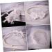 PLAFOPE Pearl Flower Headband Wedding Decor Pearl Headband Decorative Flower Headband Flower Head Band Wedding Hair Accessory Headband Ornament Head Band for Bride Exquisite Hair Band - Buy Online on GoSupps.com