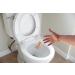 Earthworm Septic Tank Cleaner - 3 Monthly Water Soluble Packets - Natural Enzymes - Safe for Family & Environment - 6 oz - Buy Online on GoSupps.com