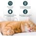 Purapep Comfort Cat Tabs - Natural Sedative with Tryptophan Calcium & B Vitamins for Stress Relief | 120g - Delicious Poultry Flavor - Buy Online on GoSupps.com
