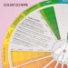 9 Inch Color Mixing Guide Wheel for Art Class - RGB Color Wheel for Color Spectrum Matching and Learning - Buy Online on GoSupps.com