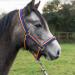Cameo Equine Quality Padded Headcollar & Strong Leadrope - Comfortable & Stylish Rainbow Pony
