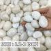 Natural Polished White Pebbles - 5lb Small River Rocks for Plants, Aquariums, Vases & Landscaping - 5.0lbs Medium - Buy Online on GoSupps.com
