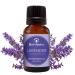 Lavender Essential Oil for Diffuser Aromatherapy Best of Nature 100% Pure Undiluted Oils for DIY, Home Fragrance, and Topical Use