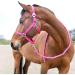 HORZE Basic Cotton 7' Horse Lead Rope - Raspberry Pink - One Size Raspberry Pink US One Size - Buy Online on GoSupps.com