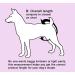 Glenndarcy Female Dog Diapers - Waterproof XS Pants for Small Dogs | Cute Unicorn Design - Buy Online on GoSupps.com