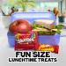 Skittles & Starburst Fun Size Variety Mix - 31.9 oz Bag, 65 Pieces - Pack of 1 - Buy Online on GoSupps.com