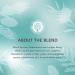 Tisserand Winter Frost Diffuser Oil 9ml - Aromatherapy Essential Oil Blend for Winter Season - Buy Online on GoSupps.com