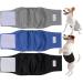 LeerKing dog diapers for male dogs washable male dog diaper incontinence male pad for male dog puppy M Black+Gray+Blue M