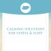 Natural Factors Stress Relax Pharma GABA 100 mg - 60 Vegetarian Capsules for Calm & Relaxation - Buy Online on GoSupps.com