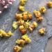 100% Chimonanthus Praecox 30g/1.05oz Frais Feuilles en Vrac Non - OGM Fleurs s ch es Naturelles Herbes savonneuses sirops Boissons Boulangerie beaut DIY sachets et pices fra ches - Buy Online on GoSupps.com