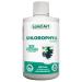Liquid Chlorophyll Unflavoured 5X Concentrated 500ml Cold Extracted from Non-GMO Alfalfa - Detox - Alkaline - Natural Body Deodorant Antioxidant - Made in Canada