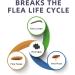 Advanllent Flea and Tick Prevention for Cats - Natural Essential Oil Treatment - 3 Doses - Buy Online on GoSupps.com