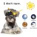 Adiwo Dog Goggles - Waterproof Anti-UV Sunglasses for Small & Medium Dogs | Windproof Safety Glasses with Adjustable Band - Buy Online on GoSupps.com