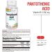 SOLARAY Pantothenic Acid 250mg - Vitamin B5 for Energy Metabolism, Hair, Skin, Nails & Digestive Support - 100ct, 100 Servings (Pack of 3) - Buy Online on GoSupps.com