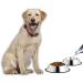 Mlife Stainless Steel Dog Bowls (Set of 2) - Rubber Base - For Small/Medium/Large Dogs - 8oz - Buy Online on GoSupps.com
