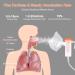 Portable Compressor Nebulizer for Adults & Kids - Personal Steam Inhaler for Breathing Problems - Buy Online on GoSupps.com