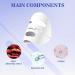Biodance Collagen Mask Overnight Bio Collagen Face Mask Biodance Bio-Collagen Real Deep Mask Bio Collagen Real Deep Mask Hydrating Suitable for All Skin Types (4 tablets) - Buy Online on GoSupps.com
