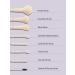 SHEGLAM Pro Core Brush Kit - 8 Pcs Professional Makeup Brushes Set | Soft Face Eye Eyebrow & Foundation Brushes | Portable Travel Essentials for Flawless Makeup - Buy Online on GoSupps.com