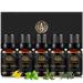 100% Pure Cedar Essential Oil Set for Diffuser Aromatherapy Ylang Ylang Essential Oil Kit for Home 5x10ml 100% Pure Basil Essential Oils Set - Clary Sage Pine Needles Oils for Air Freshener