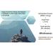 Carbon 60 Antioxidant Strips - 99.99% Pure C60, Solvent-Free | Immunity Booster | Fully Dissolved & Dispersed for Maximum Absorption - Buy Online on GoSupps.com