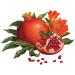 LErbolario Melograno Soap - Natural Pomegranate Fragrance | Buy Online Internationally - Buy Online on GoSupps.com