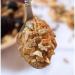 Keto Peanut Butter Crunch Granola by Keto and Co - 2.7g Net Carbs/Serving, Gluten Free, Diabetic Friendly, No Added Sugar - 10 Servings, 10 Ounce - Buy Online on GoSupps.com