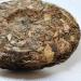 HELLOYOUNG 300g de th Pu'er blanc naturel authentique du Fujian Th vert au go t intense facile conserver Th pu-erh Pu'er Tea - Buy Online on GoSupps.com