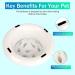 Slow Feeder Cat Bowl by SherryJerryGarry - Interactive Puzzle for Preventing Bloat | Easy to Clean & Dishwasher Safe | Ideal for Pet Dog Feeding - Buy Online on GoSupps.com