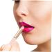 Lip Blending Brush Makeup Brush for Lip Gloss & Lipstick Application Lipstick Applicator Lip Gloss Brush Lip Mask Brush Lip Makeup Lip Balm Aluminum Tube Pink Round Head - Buy Online on GoSupps.com