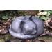 Rainbowbridge At Peace Cat Urn For Ashes - Handcrafted Cat Memorial - Pet Urn Suitable for Indoor & Outdoor Use Pewter - Buy Online on GoSupps.com