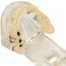 Buy Verdant Touch Transparent Dental Implant Model - Ideal Teaching Aid for Pathology & Dental Studies | International Shipping Available - Buy Online on GoSupps.com