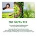 Amos 02 Green Tea Shampoo 500g - Scalp Nourish & Mild Formula - Buy Online on GoSupps.com