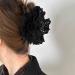 Limtula Lace Princess Large Hair Claw Clip Flower Hair Jaw Clip Balletcore Hair Catch Barrettes Hair Adornment Hair Ornamentatio Beige - Buy Online on GoSupps.com