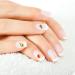 Healeved 8 Packs Nail Art Polymer Clay Nail Fruit Slices Fruit Nail Art Slice Appliques Embellishments DIY Fruit Nail Art Nail Art Craft Decor 3d Polymer Nail Slice Suite Manicure Resin 11X7cmx2pcs Colorfulx2pcs - Buy Online on GoSupps.com