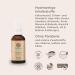 Huile anti-pelliculage pour des cheveux sains - Avec 14 herbes ayurv diques de l'Himalaya et du romarin - Buy Online on GoSupps.com