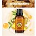 Slimming Belly Ginger Oil - Natural Anti-Aging Massage Oil for Abdominal Drainage (2PC) - International Shipping Available - Buy Online on GoSupps.com