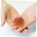 Partykindom 2-Pack Massage Balls - Acupoint & Yoga Fitness Tools for Trigger Point Relief | Wooden Muscle Stretch Devices - Buy Online on GoSupps.com