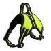 Dog harness Tailup Pet Products Adjustable Reflecting Venue For Go for puppies mains dishes for small and medium -sized dogs (Color: Light Green Size: M) M Light Green
