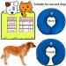 Zukent Inflatable Pet Recovery Collar - Adjustable & Washable Dog Cone for Wound Protection (Large) - Buy Online on GoSupps.com
