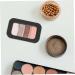 Palette Magn tique de Fards Paupi res Vide S tui Compact Noir Mat Petit Godet Magn tique pour Maquillage pour Femmes Voyage 1 Set Plaque M tallique - Buy Online on GoSupps.com
