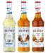 MONIN - Assortiment Vanille Sans Sucre + Caramel Sans Sucre + Sirop de Citrouille Saveur Epic e - Pour Caf Chocolat Chaud Capuccino ou Latte - Ar mes Naturels - Bouteille en Verre - 3 x 70 cl